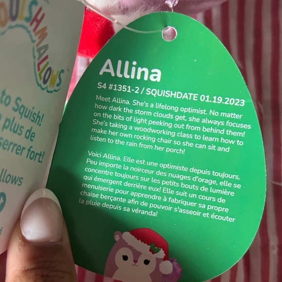 RARE squishmallow Christmas squirrel brand new with tags!! - Picture 4 of 7